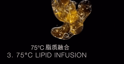 绷带面霜+黑绷带眼霜抗皱紧实淡化纹路J9九游会“贵妇”都在用！赫莲娜黑(图11)
